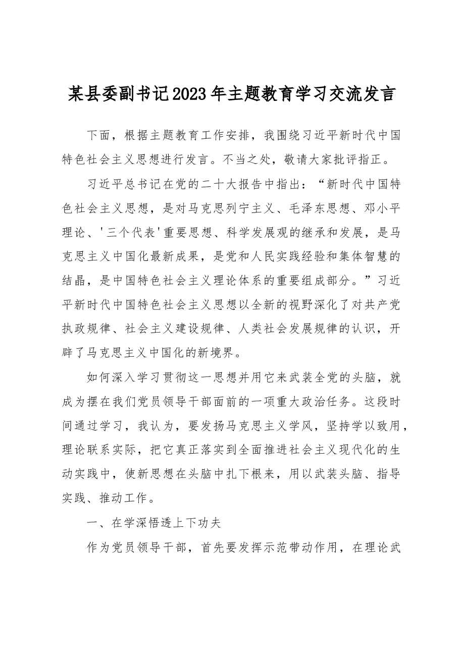 某县委副书记2023年主题教育学习交流发言.docx，第1页预览