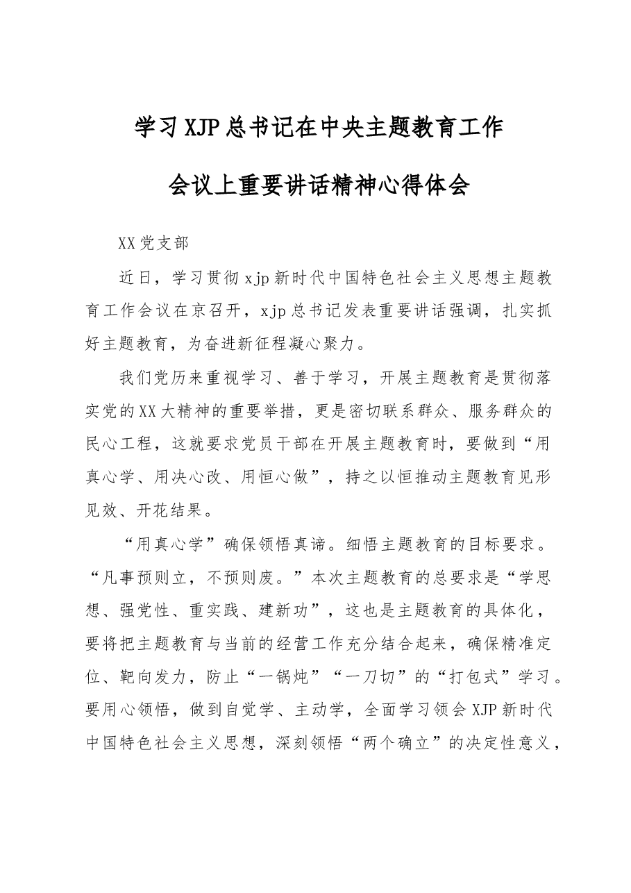 学习XXX总书记在中央主题教育工作会议上重要讲话精神心得体会(XX党支部).doc,第1页预览