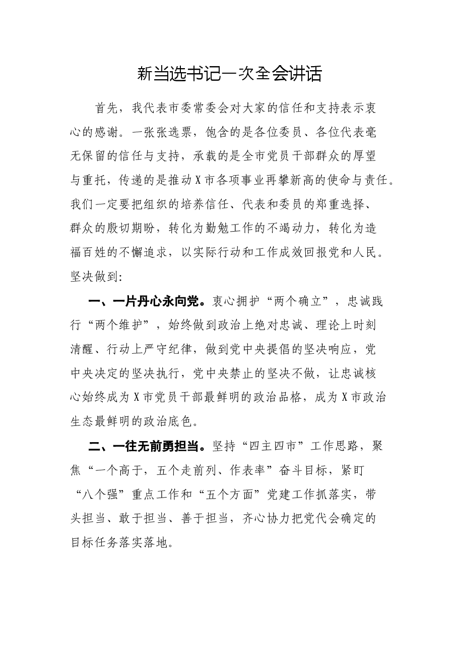新当选书记一次全会讲话.docx,第1页预览