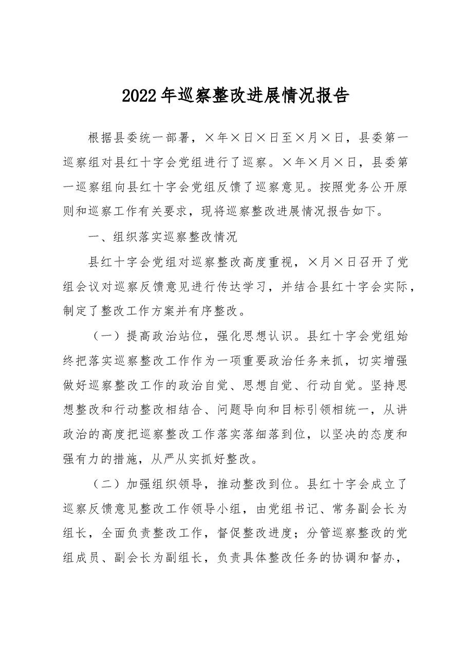 2022年巡察整改进展情况报告.docx,第1页预览