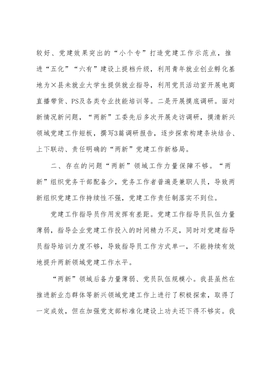 (6篇)2022年度两新工委书记抓基层党建述职报告汇编.docx,第3页预览