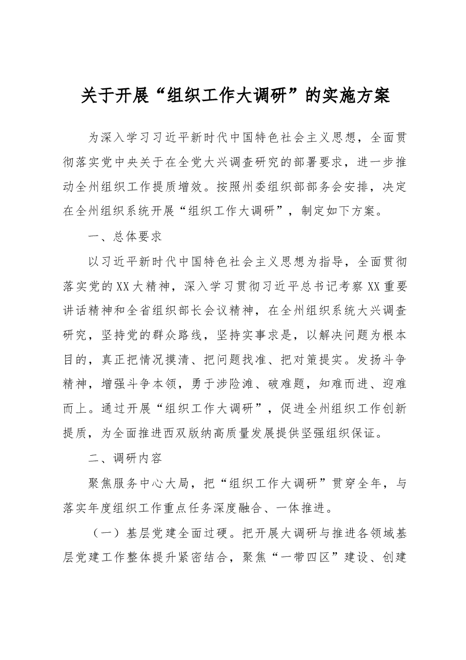 关于开展“组织工作大调研”的实施方案.docx,第1页预览