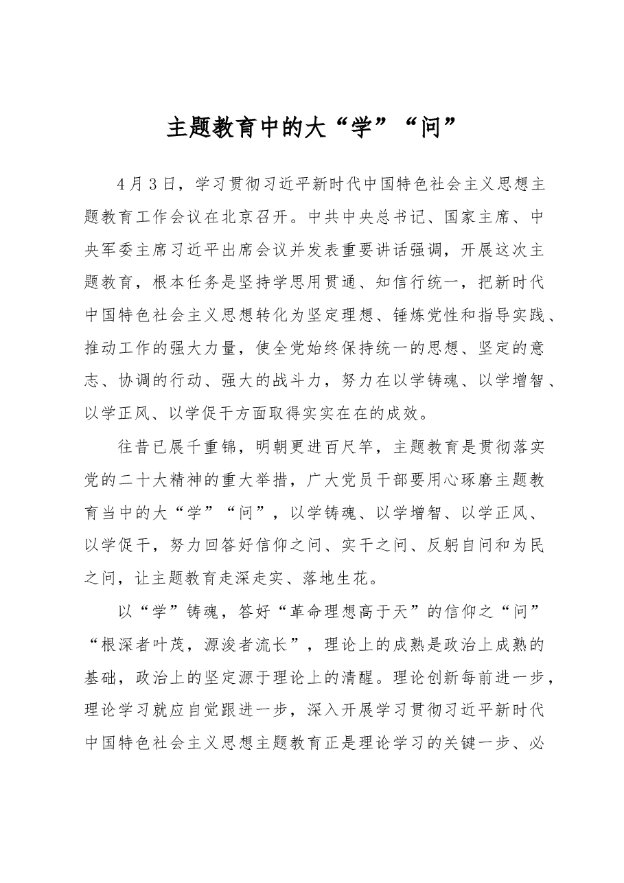 主题教育中的大“学”“问”(主题教育心得体会).docx,第1页预览