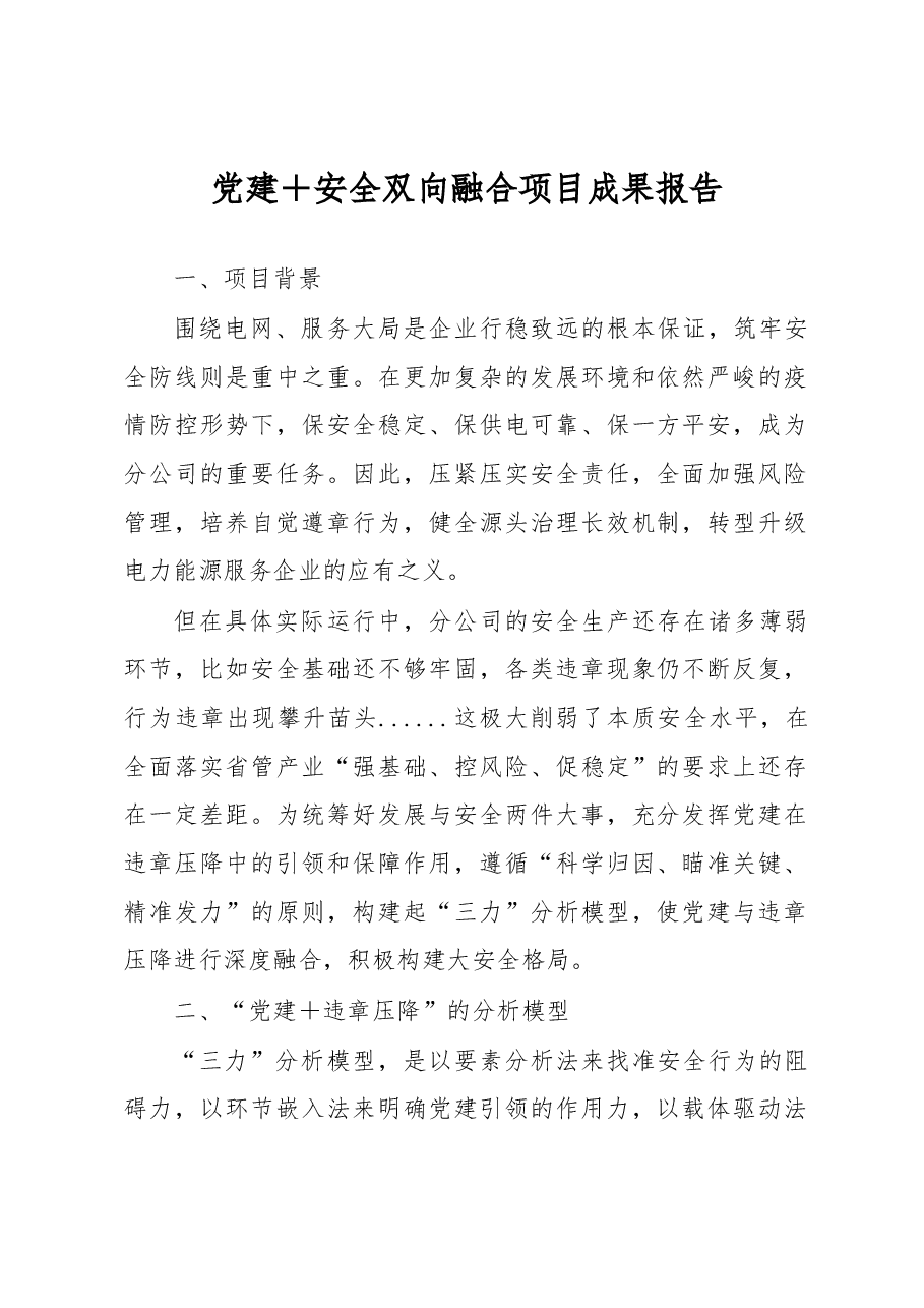 党建＋安全双向融合项目成果报告.docx，第1页预览