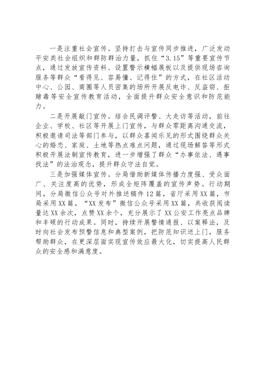 “春雷行动”护航经济发展社会稳定工作报告.docx,第3页预览
