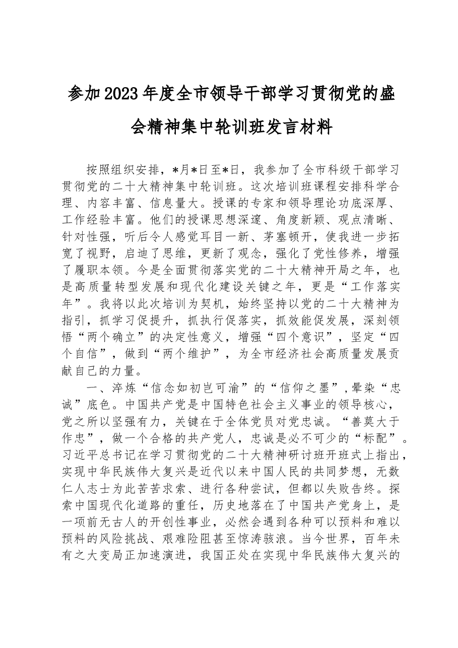 参加2023年度全市领导干部学习贯彻党的盛会精神集中轮训班发言材料.docx，第1页预览