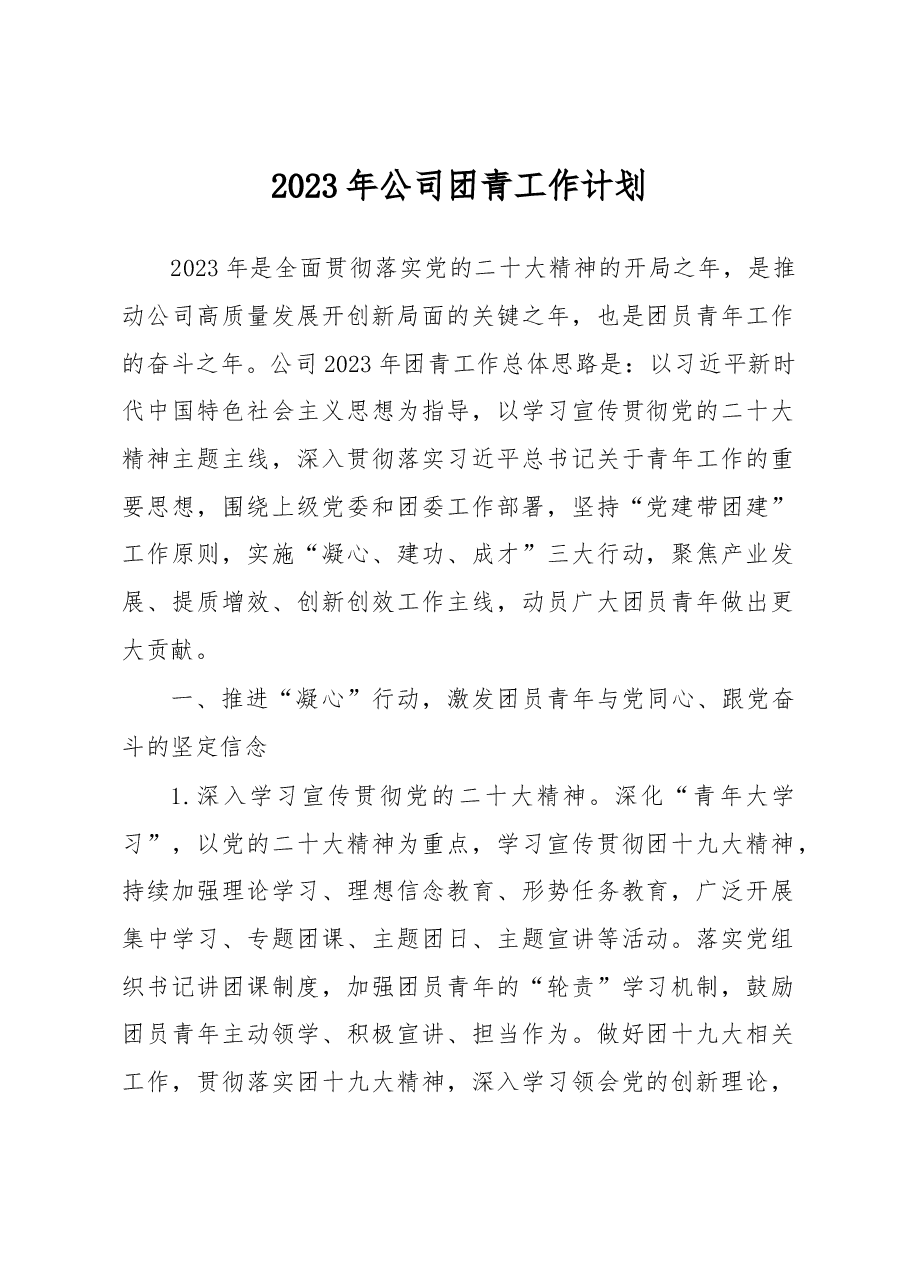 2023年公司团青工作计划.docx,第1页预览