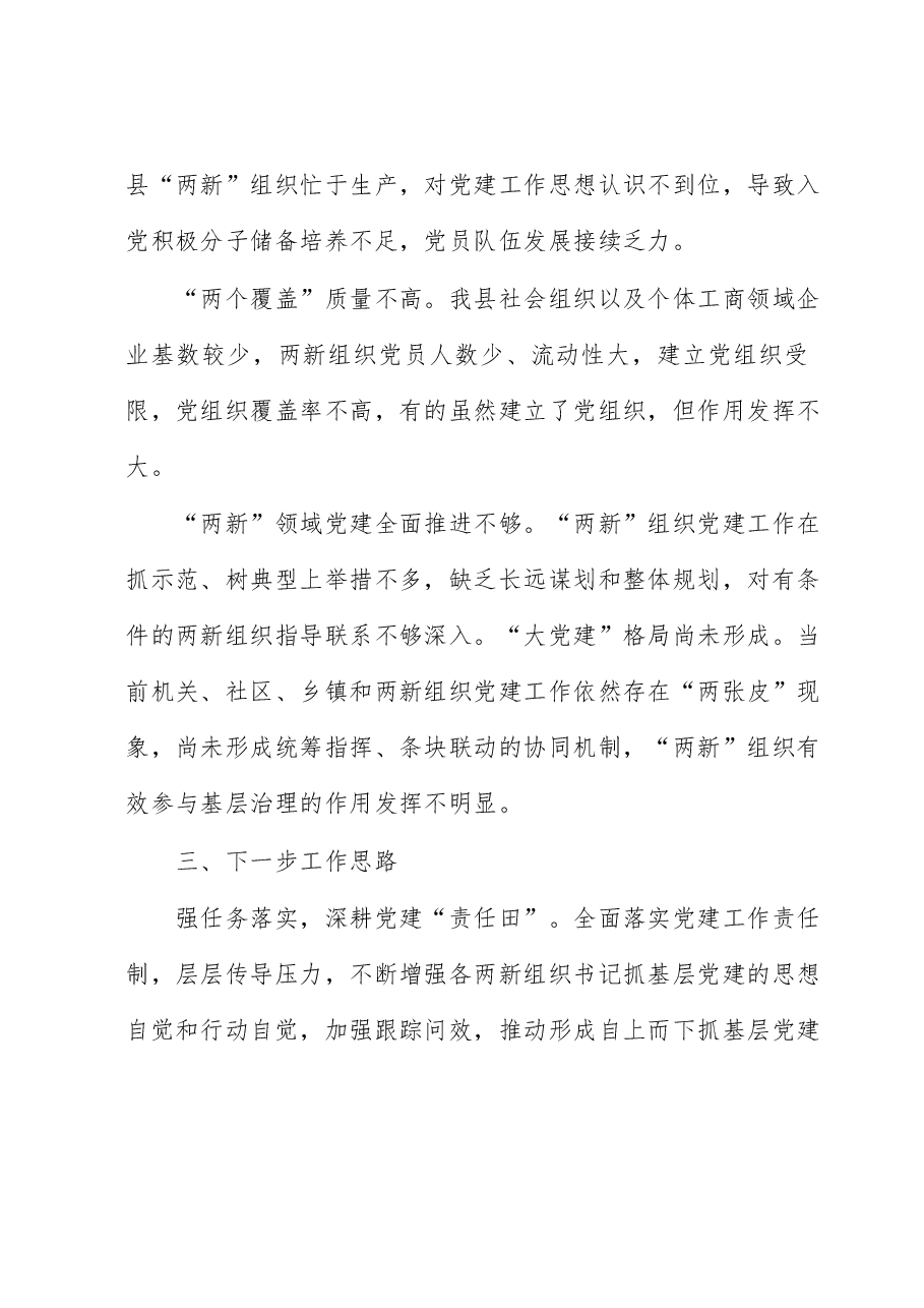 （6篇）2022年度两新工委书记抓基层党建述职报告汇编.docx，第4页预览