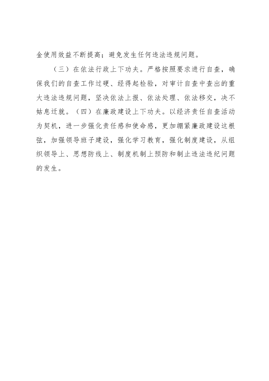 领导班子经济责任履行情况自查报告.docx,第3页预览