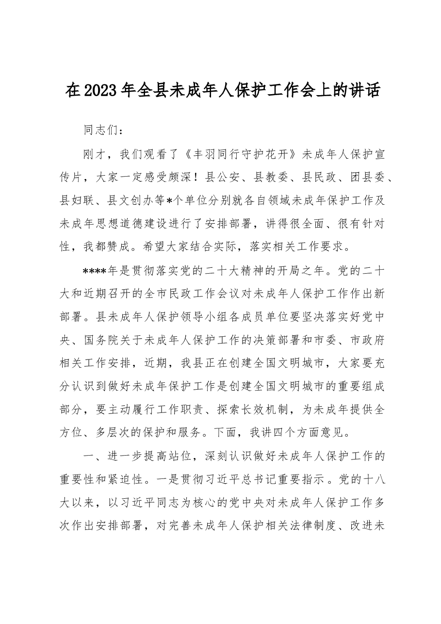 在2023年全县未成年人保护工作会上的讲话.docx,第1页预览