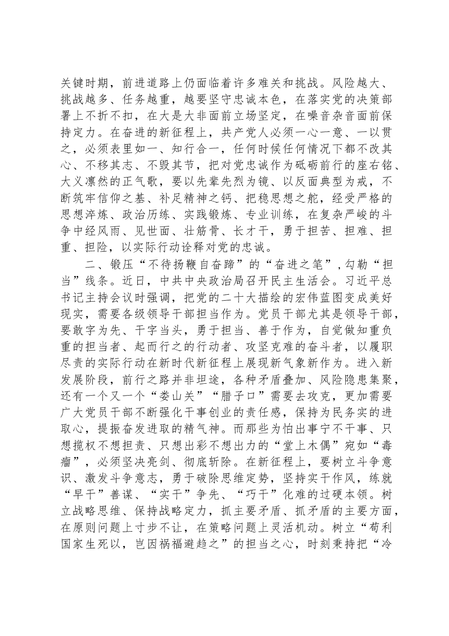 参加2023年度全市领导干部学习贯彻党的盛会精神集中轮训班发言材料.docx，第2页预览