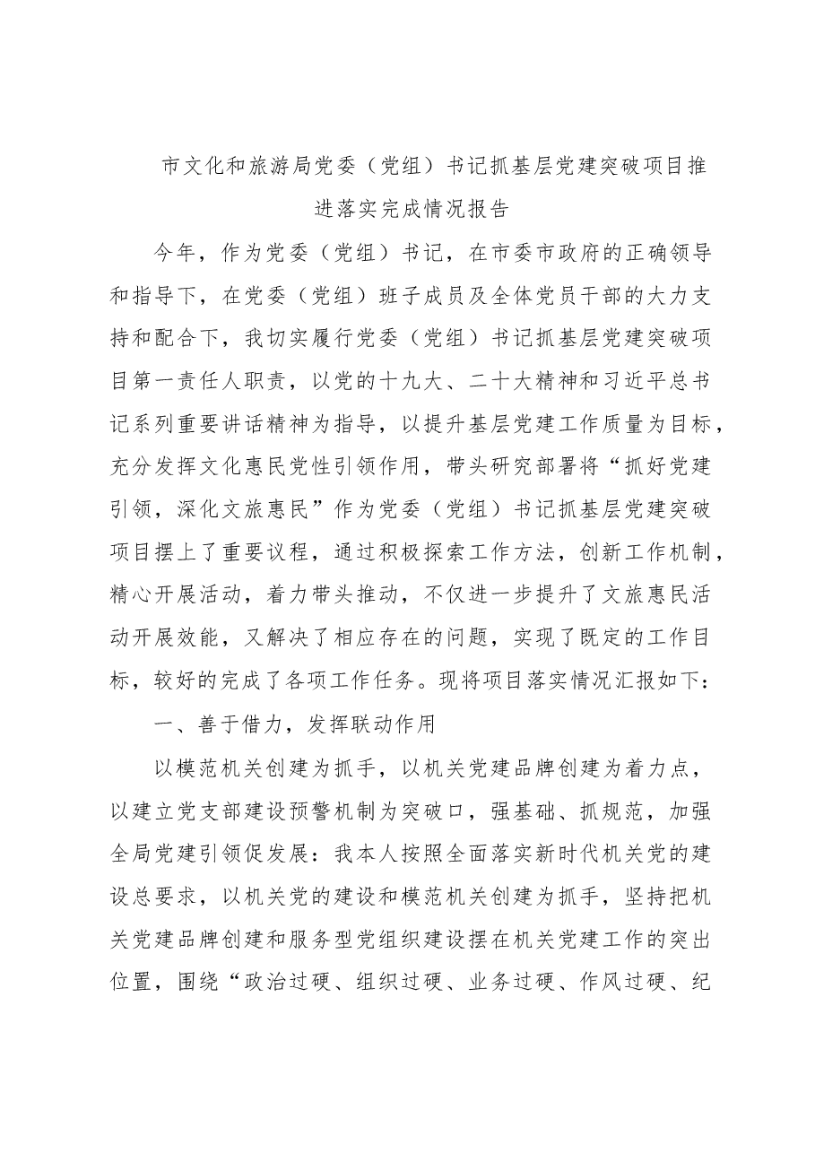 市文化和旅游局党委(党组)书记抓基层党建突破项目推进落实完成情况报告.docx,第1页预览