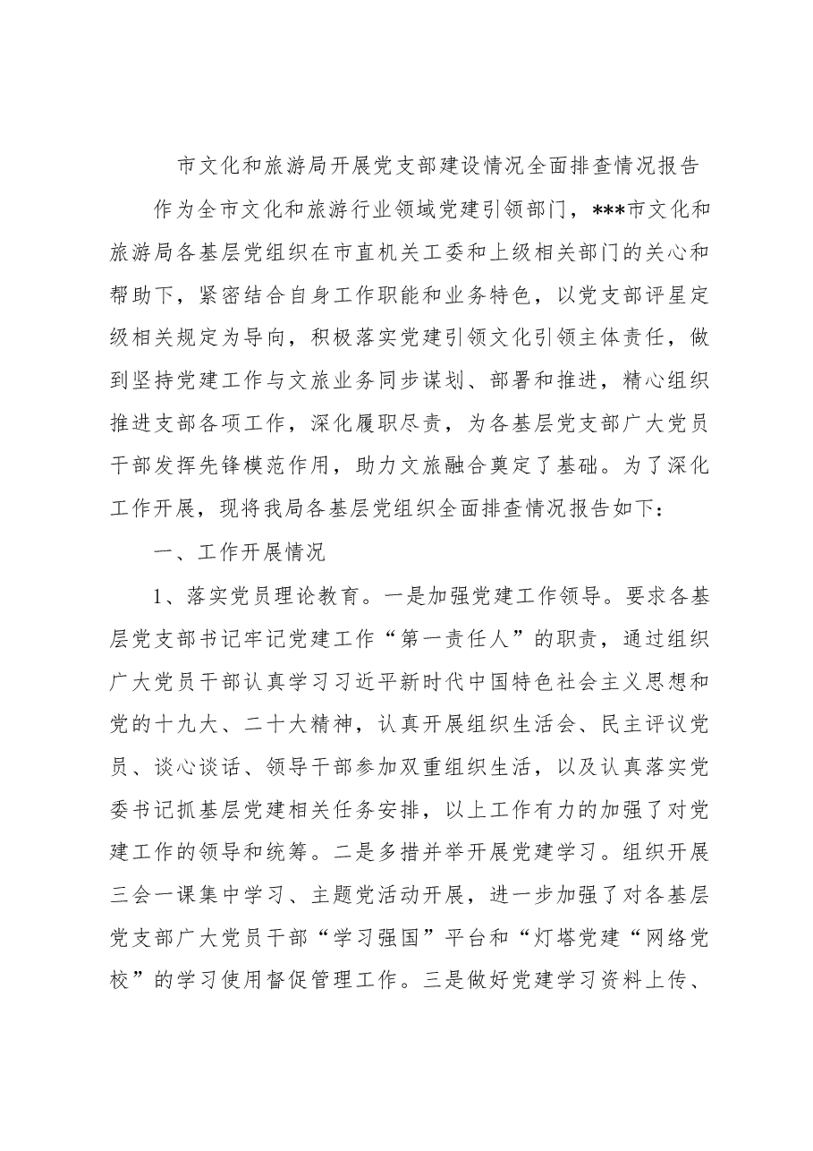 市文化和旅游局开展党支部建设情况全面排查情况报告.docx,第1页预览
