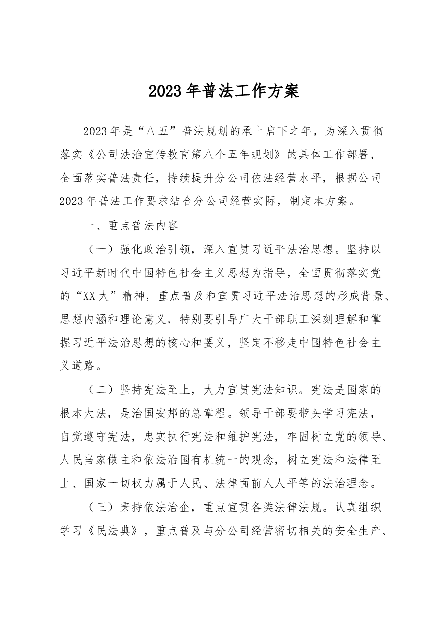 2023年普法工作方案.docx,第1页预览