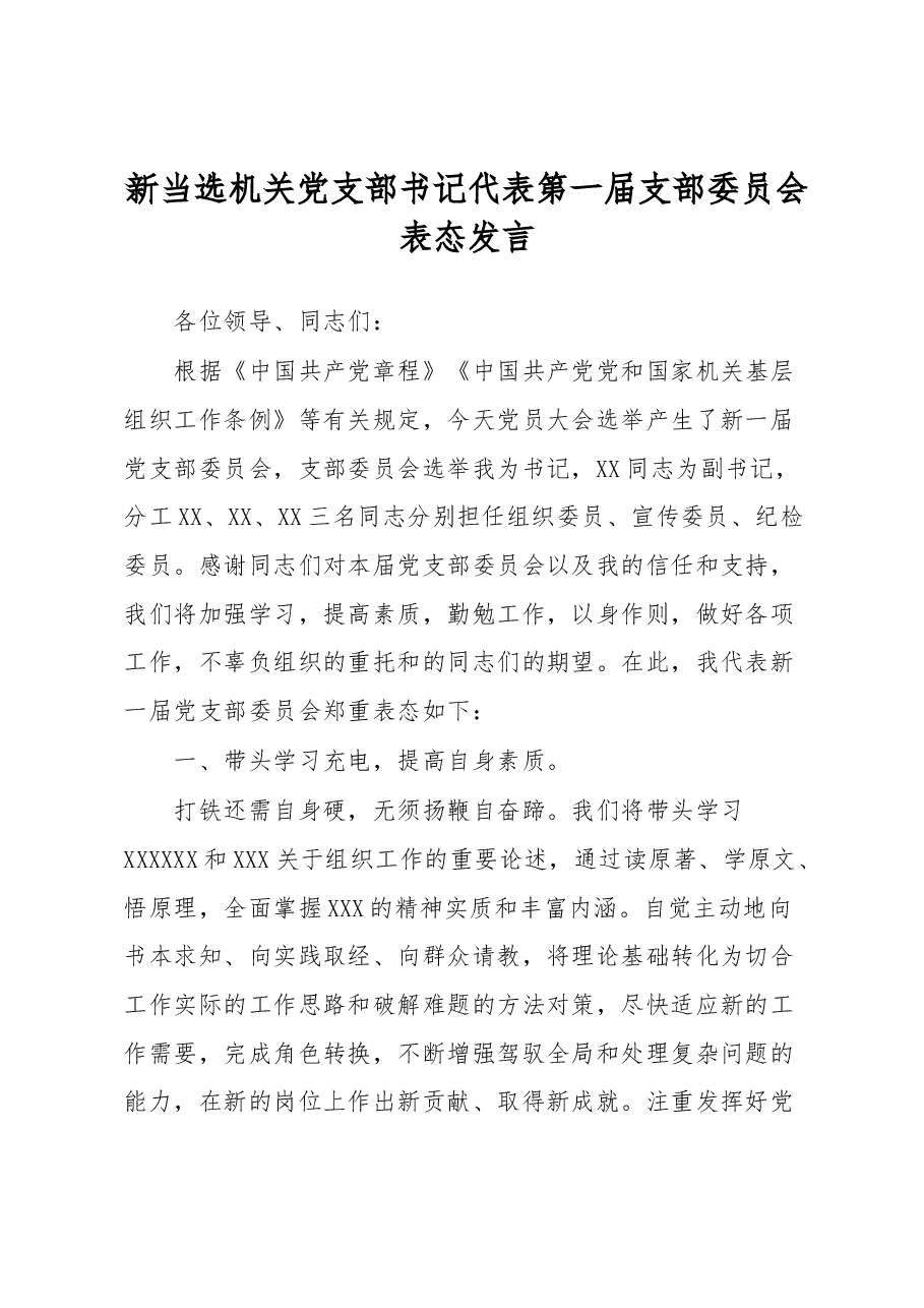 新当选机关党支部书记代表第一届支部委员会表态发言.docx,第1页预览