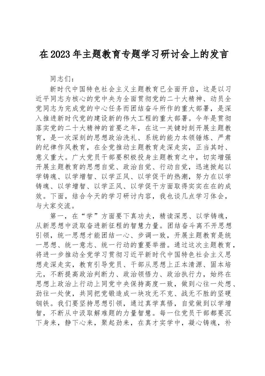 在2023年主题教育专题学习研讨会上的发言.docx,第1页预览