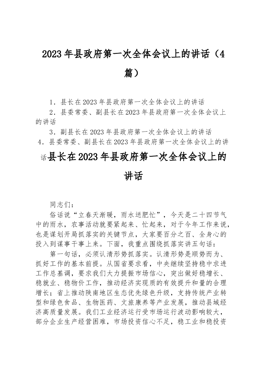 （4篇）2023年县政府第一次全体会议上的讲话.docx，第1页预览