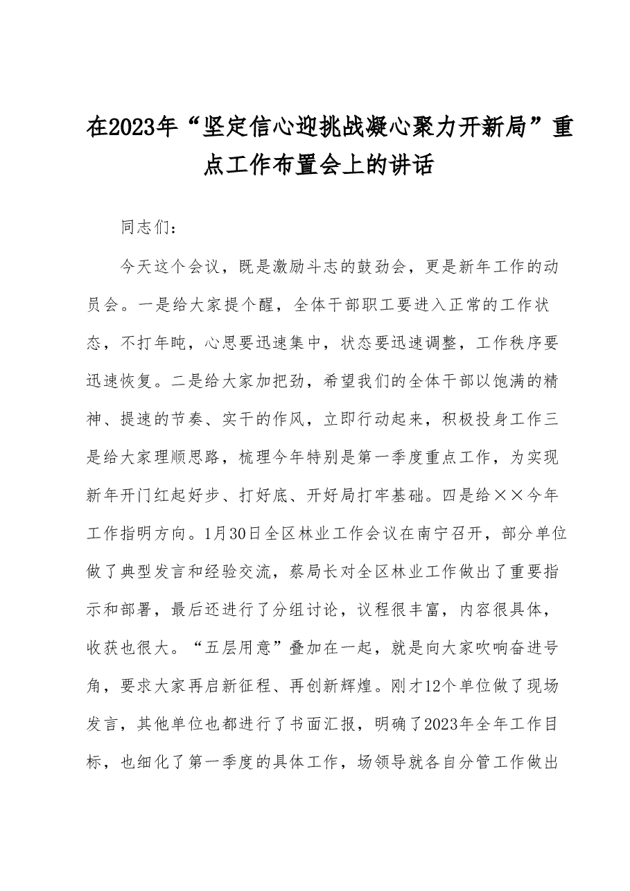 在2023年“坚定信心迎挑战 凝心聚力开新局”重点工作布置会上的讲话.docx,第1页预览