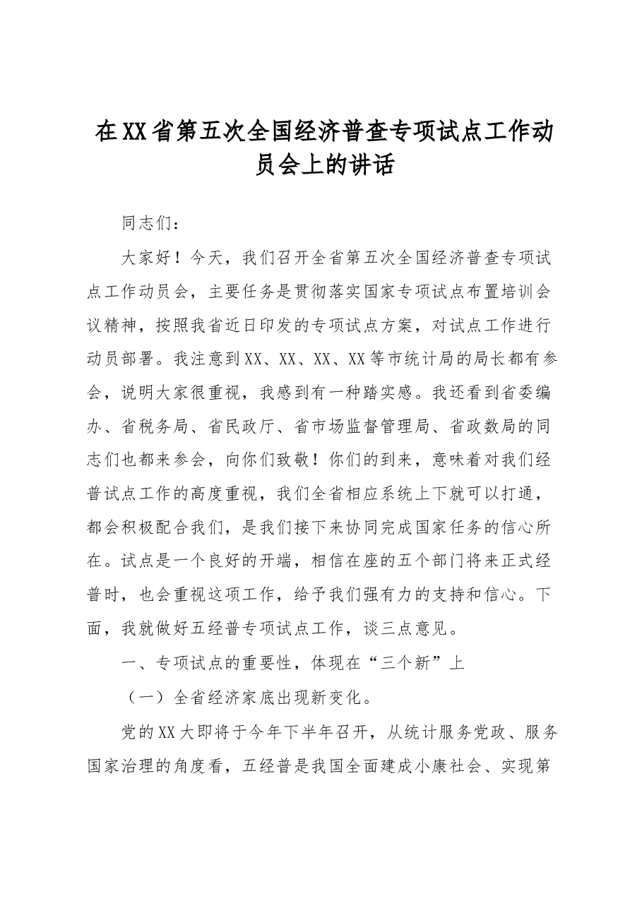 在XX省第五次全国经济普查专项试点工作动员会上的讲话.docx,第1页预览