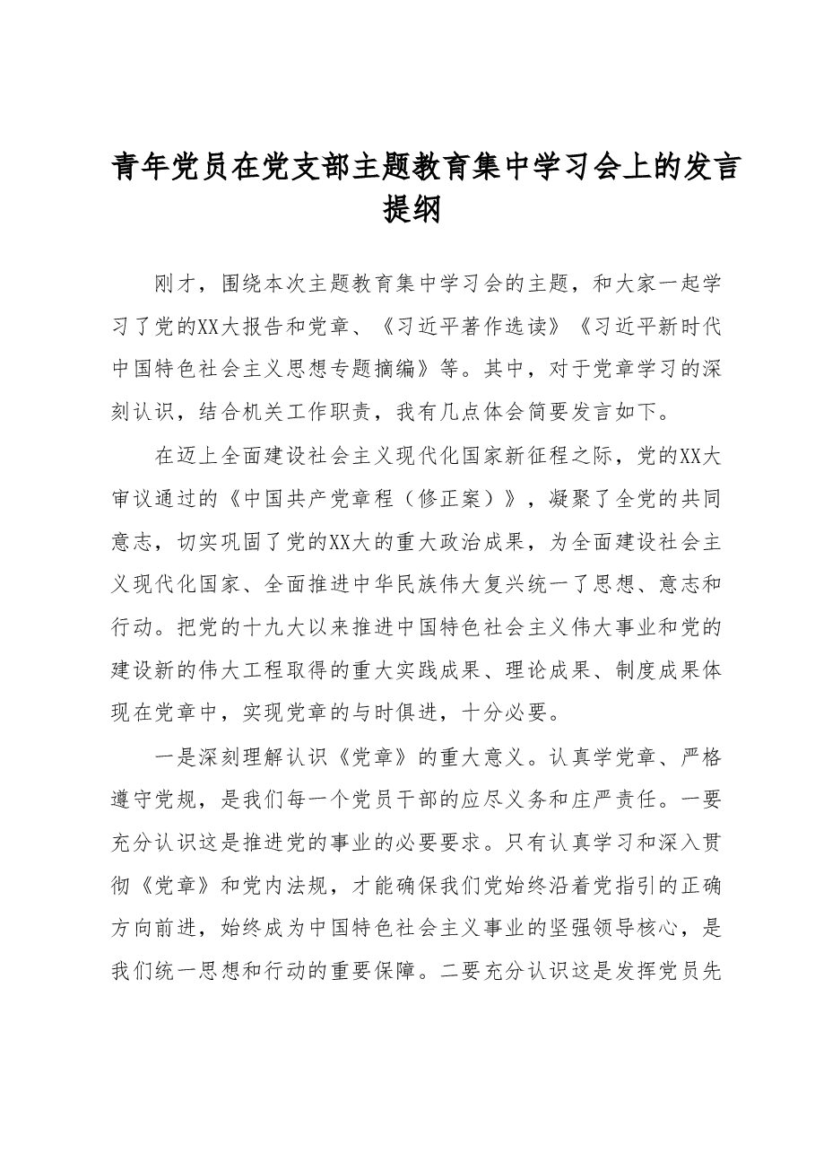 青年党员在党支部主题教育集中学习会上的发言提纲.docx,第1页预览