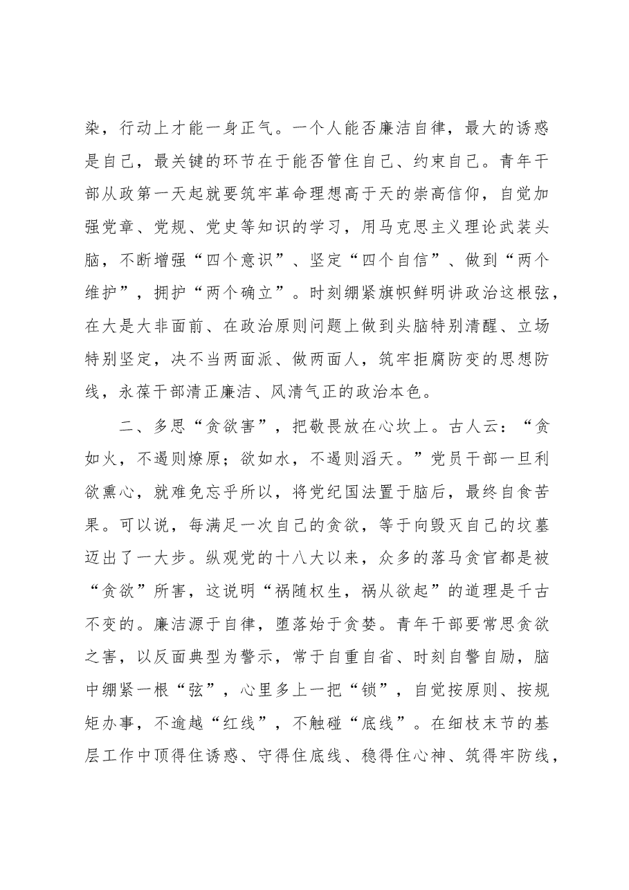 研讨发言:坚定不移推进全面从严治党始终保持清正廉洁政治本色.docx,第2页预览