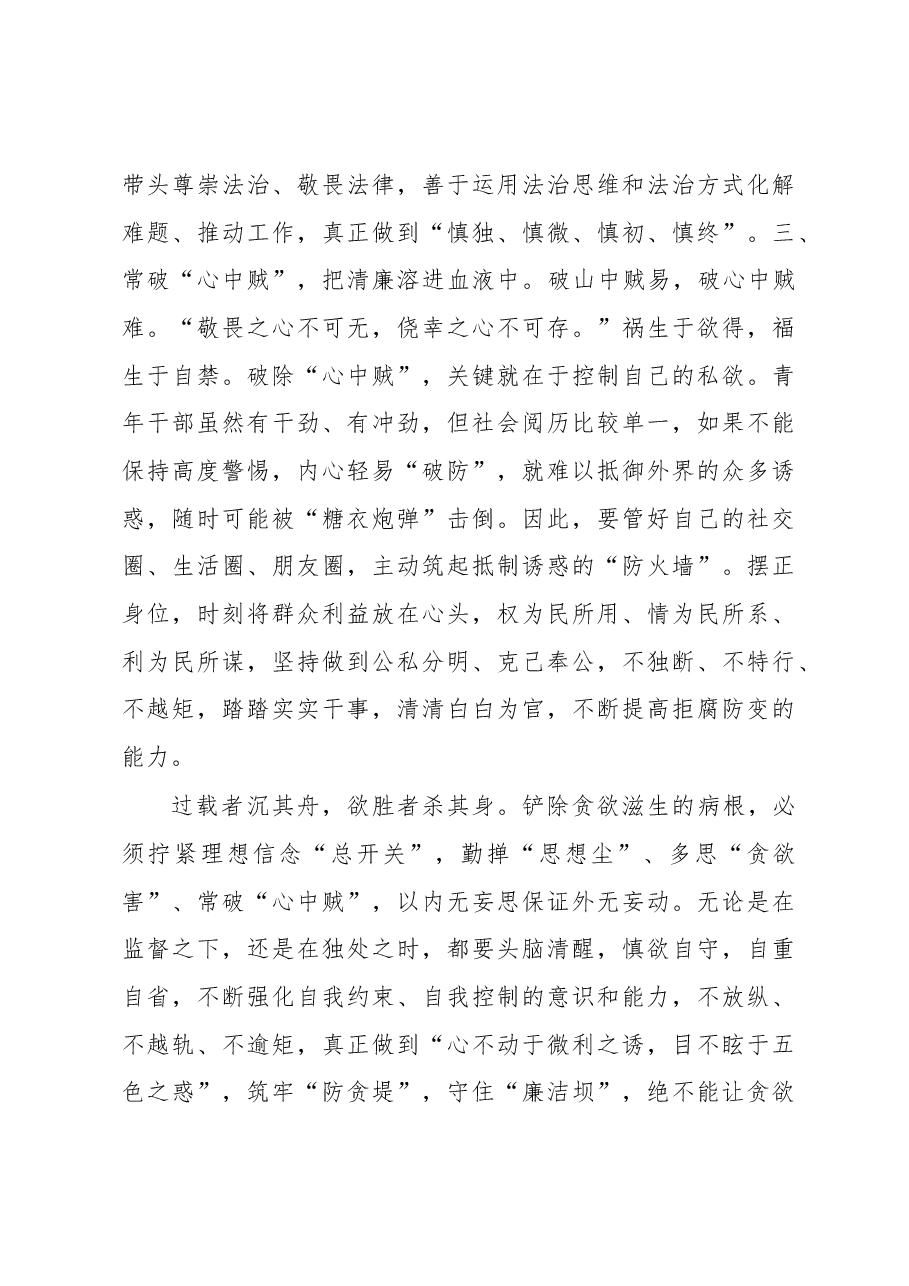 研讨发言:坚定不移推进全面从严治党始终保持清正廉洁政治本色.docx,第3页预览