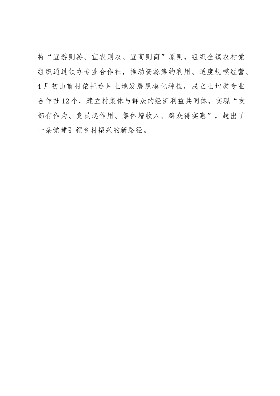 党委书记擂台赛发言材料.docx,第4页预览