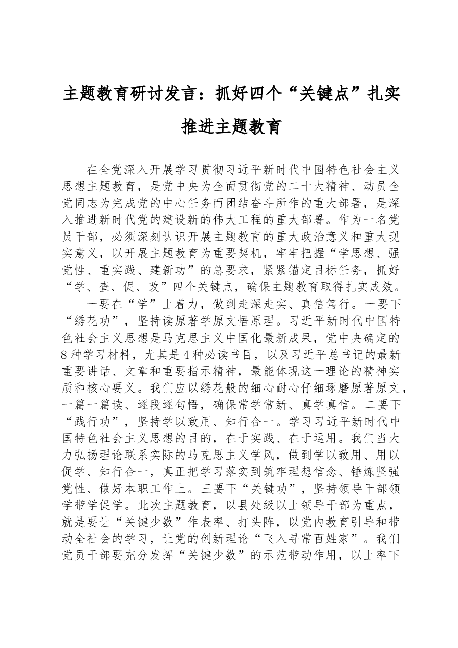 主题教育研讨发言：抓好四个“关键点” 扎实推进主题教育.docx，第1页预览