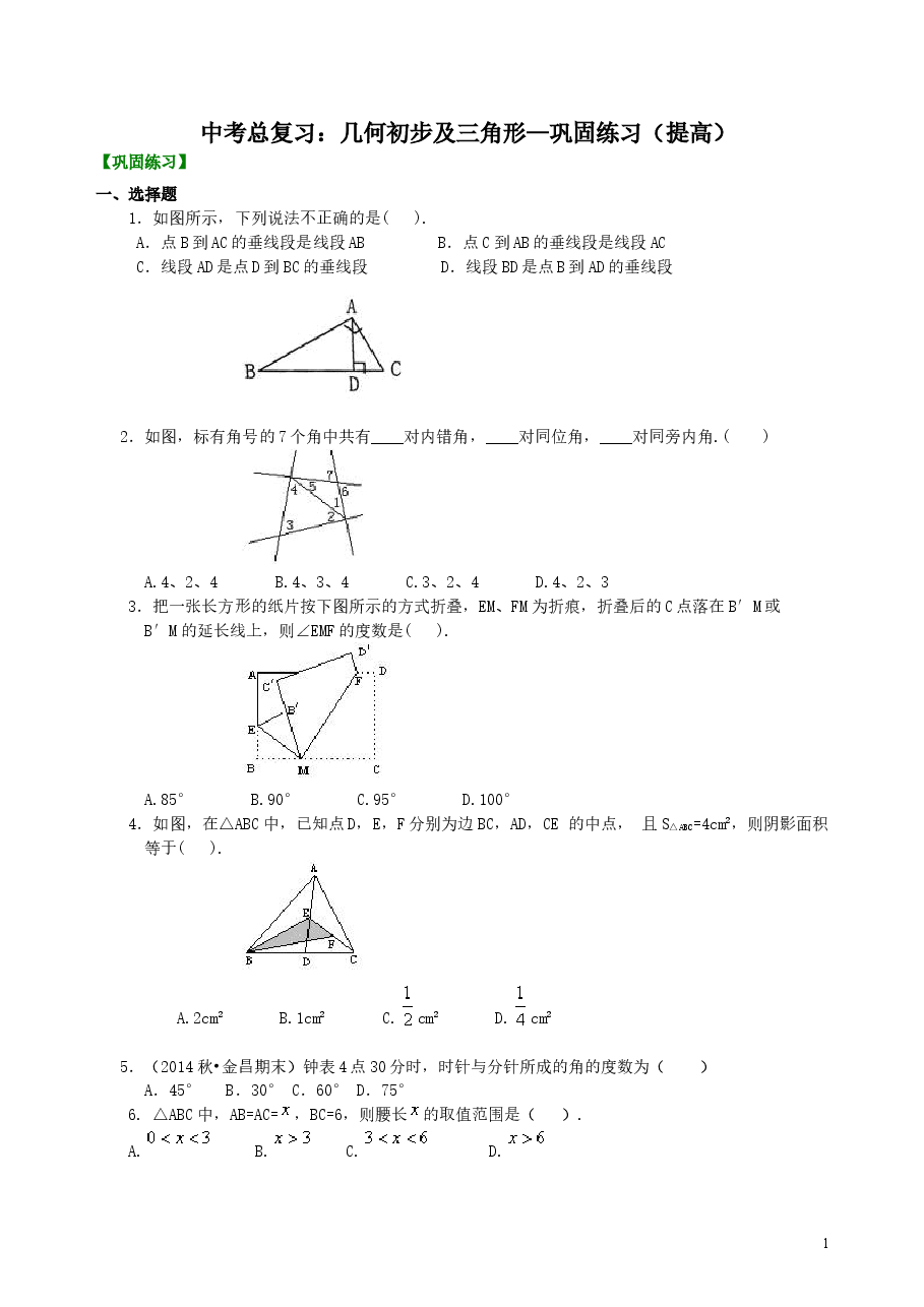 中考数学总复习：几何初步及三角形--巩固练习（提高）.doc，第1页预览