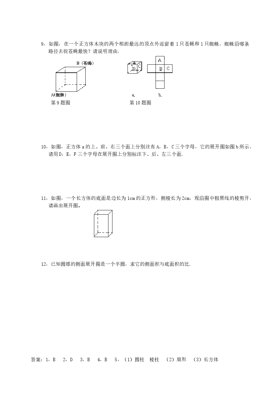 北师大版七年级数学上册第1章《丰富的图形世界》同步练习及答案—1.2展开与折叠(3).doc,第2页预览