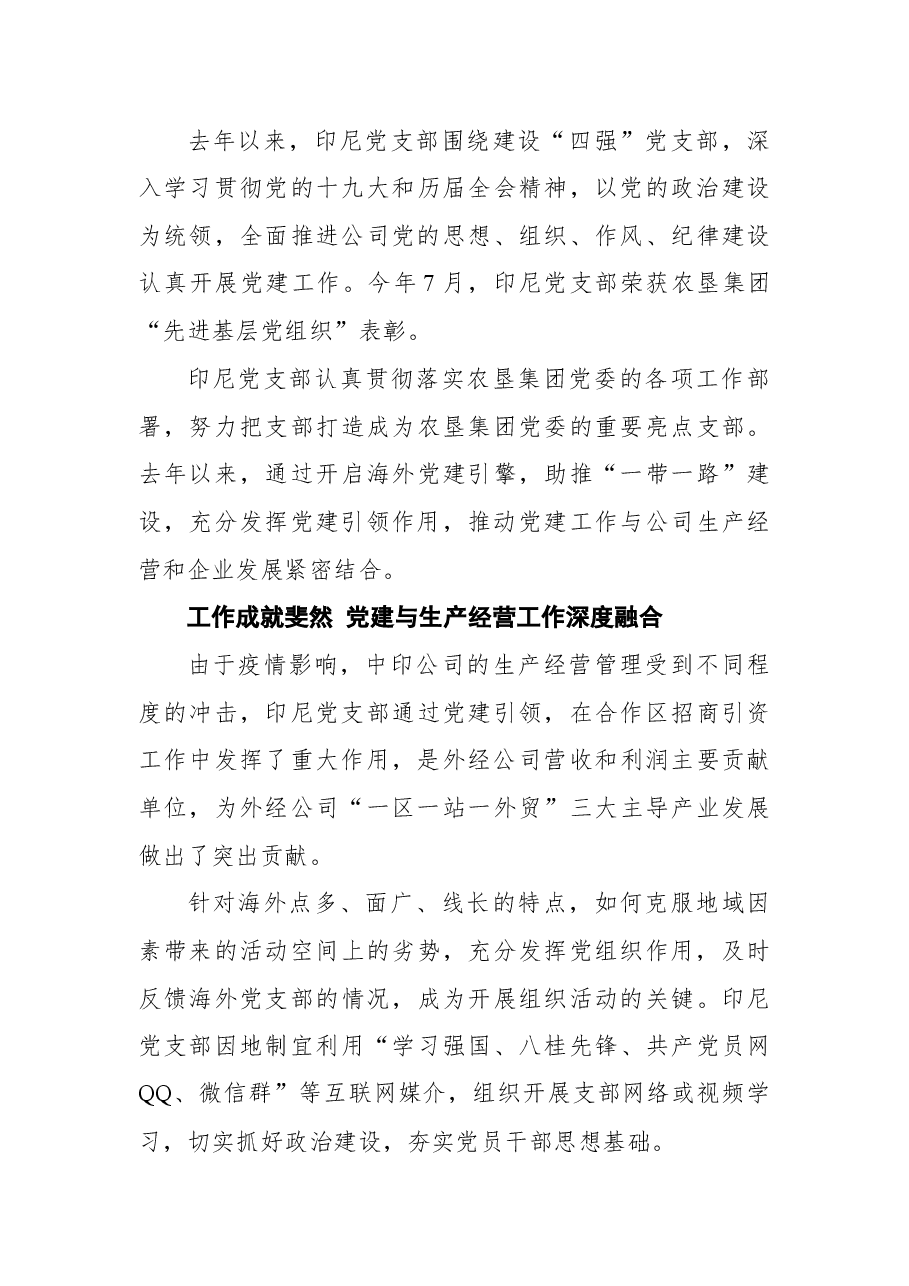 广西农垦外经公司党总支印尼党支部党建工作纪实.docx,第3页预览