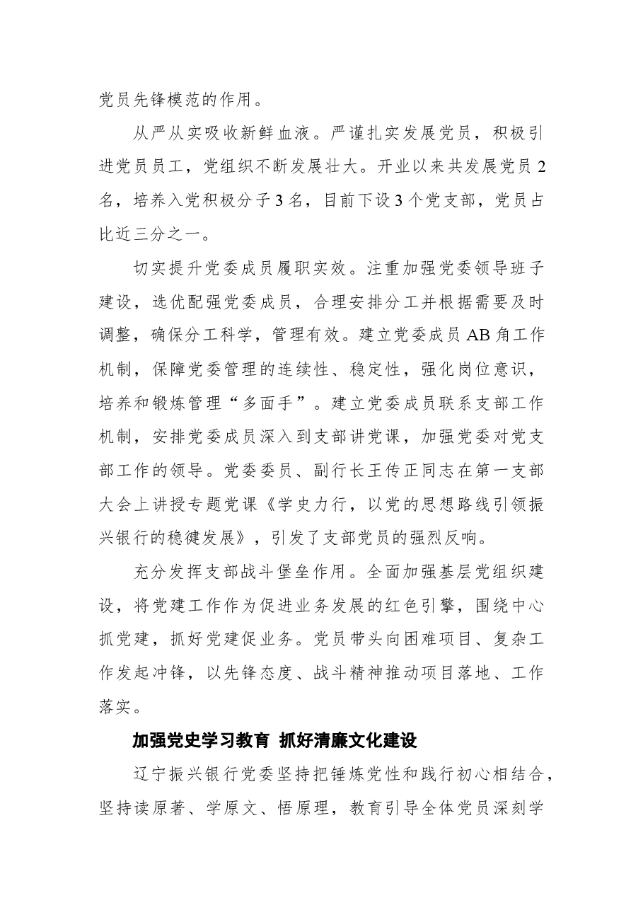 辽宁振兴银行党建工作纪实.docx,第2页预览