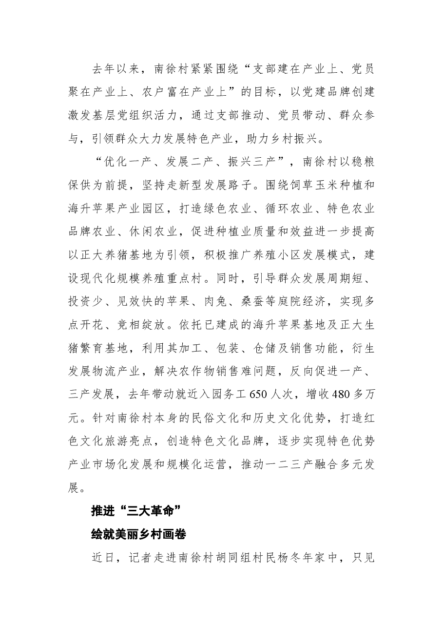 镇原县平泉镇南徐村党建引领乡村振兴工作纪实.docx,第3页预览