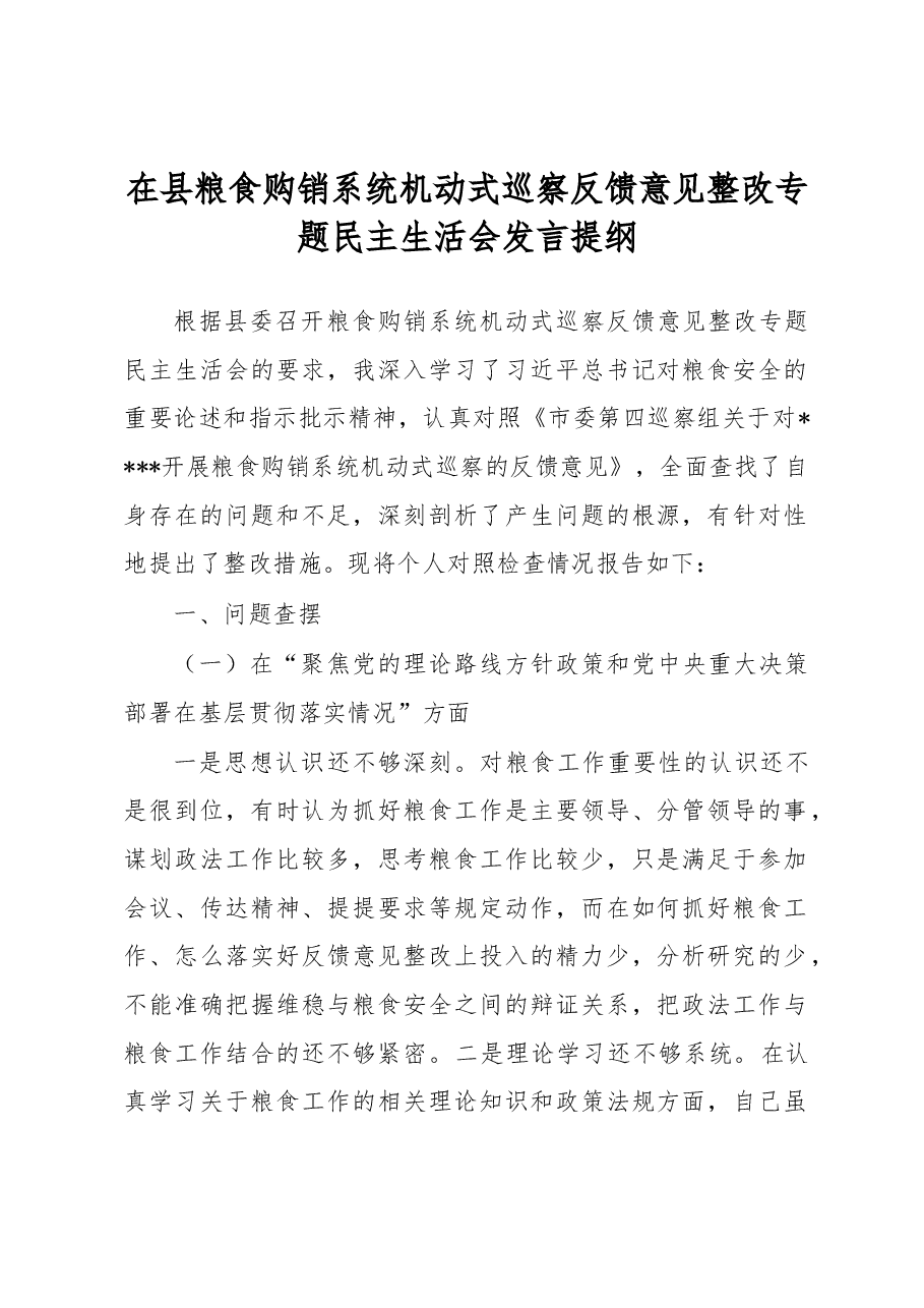 在县粮食购销系统机动式巡察反馈意见整改专题民主生活会发言提纲.docx,第1页预览