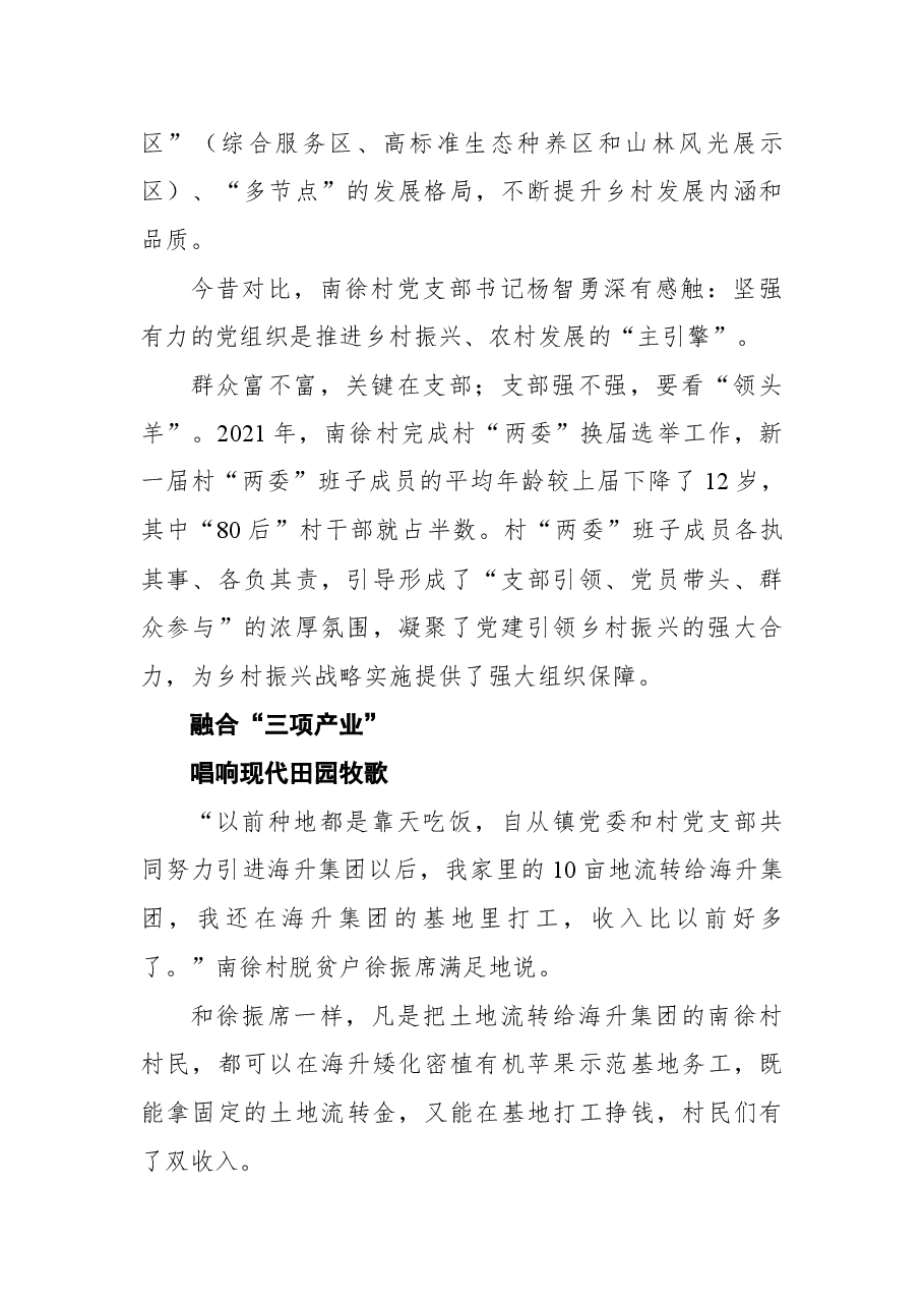 镇原县平泉镇南徐村党建引领乡村振兴工作纪实.docx,第2页预览