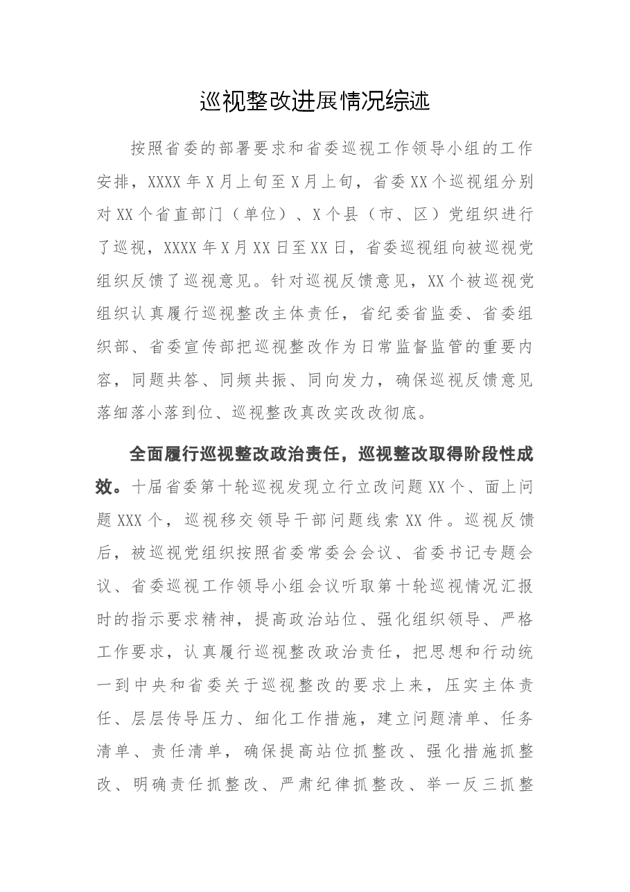 巡视整改进展情况综述.docx,第1页预览