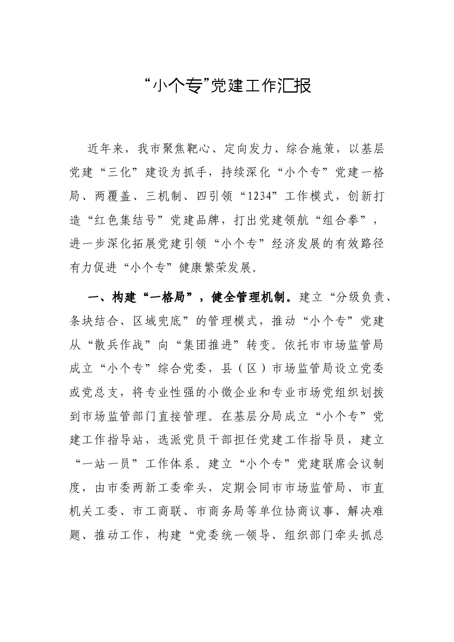 “小个专”党建工作汇报.docx,第1页预览
