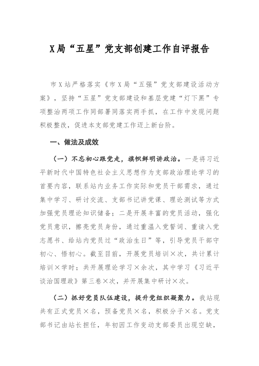 X局“五星”党支部创建工作自评报告.docx,第1页预览