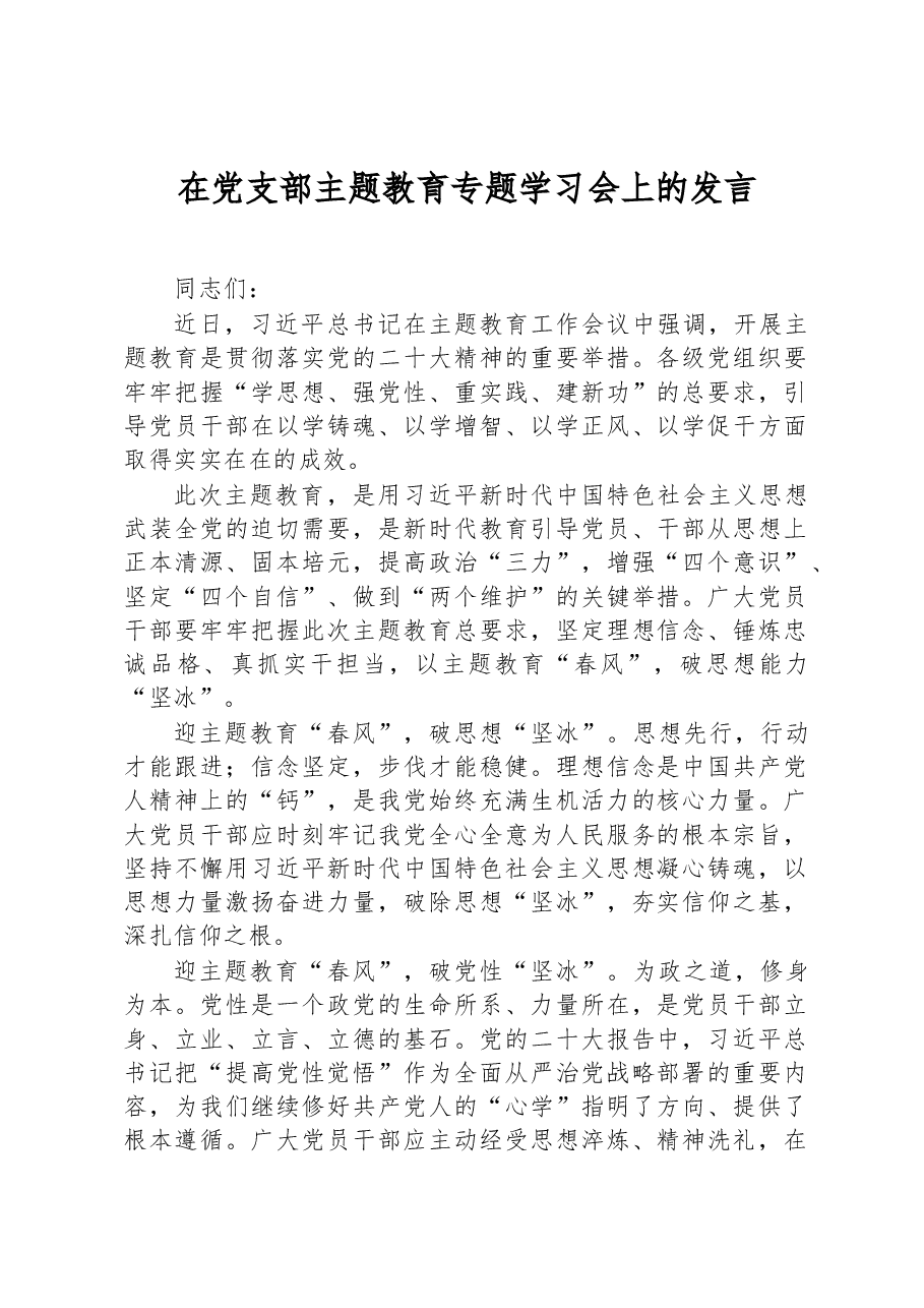 在党支部主题教育专题学习会上的发言.docx,第1页预览