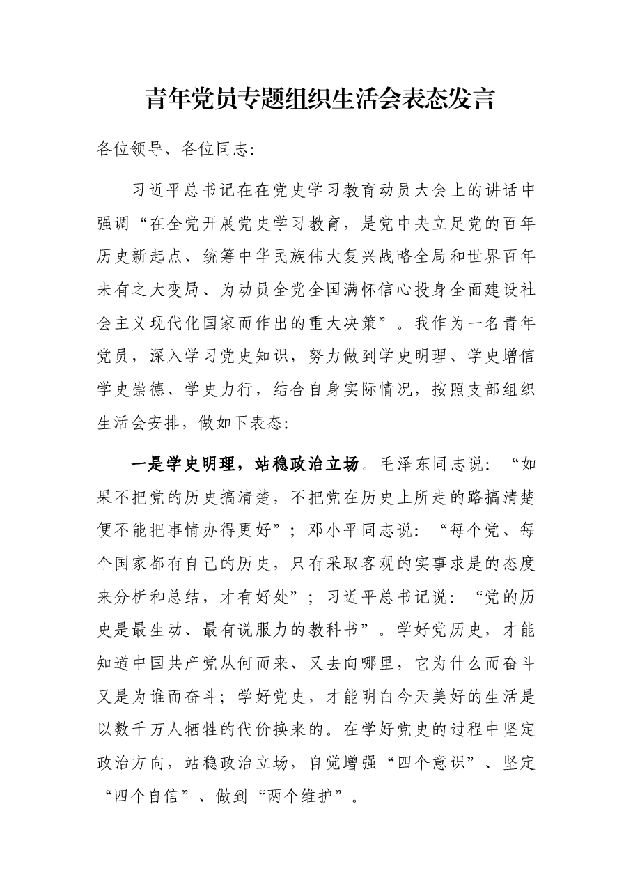 青年党员专题组织生活会表态发言.docx,第1页预览