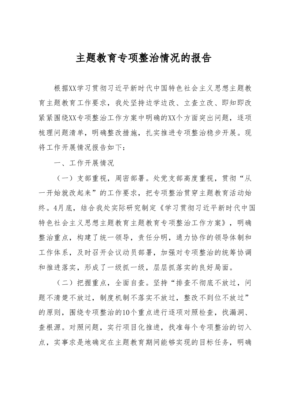 主题教育专项整治情况的报告.docx，第1页预览