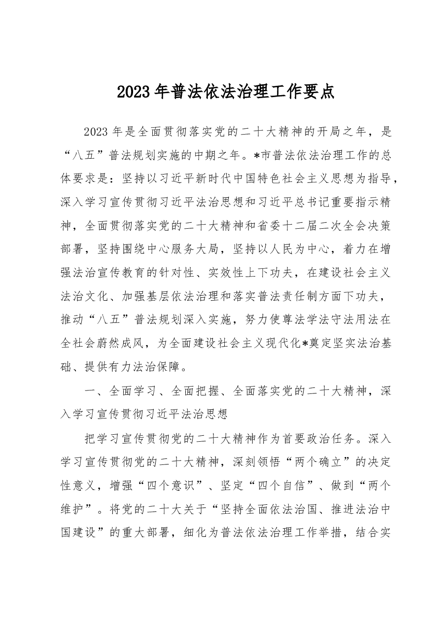 2023年普法依法治理工作要点.docx，第1页预览
