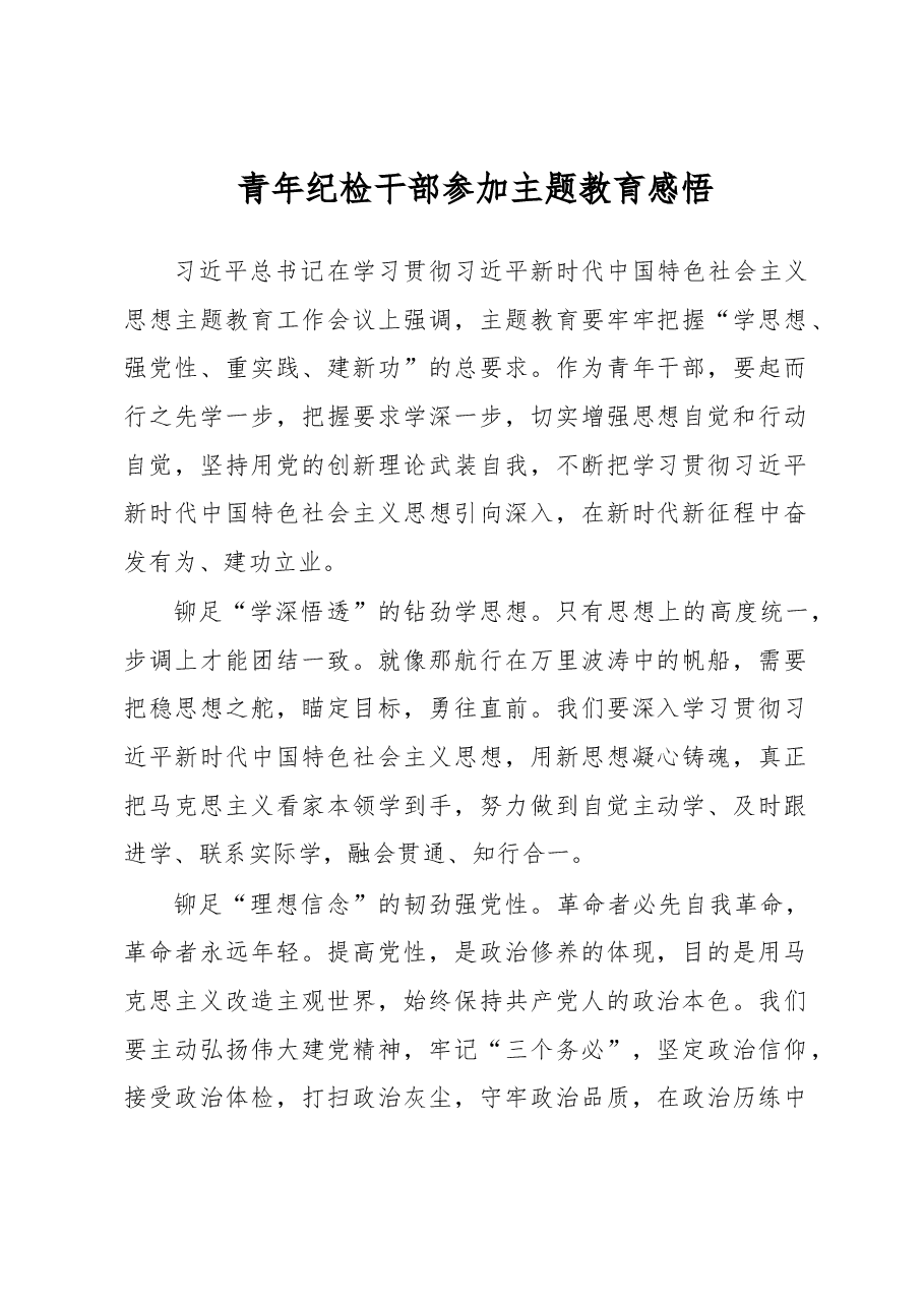 青年纪检干部参加主题教育感悟.docx,第1页预览