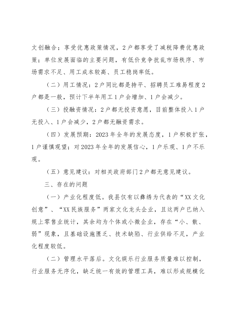 XX县文化体育娱乐业发展情况调研报告.docx,第2页预览