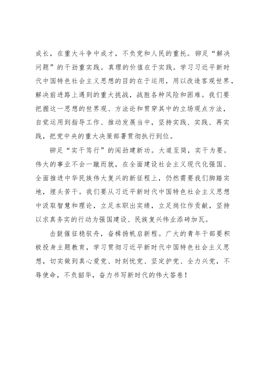青年纪检干部参加主题教育感悟.docx,第2页预览