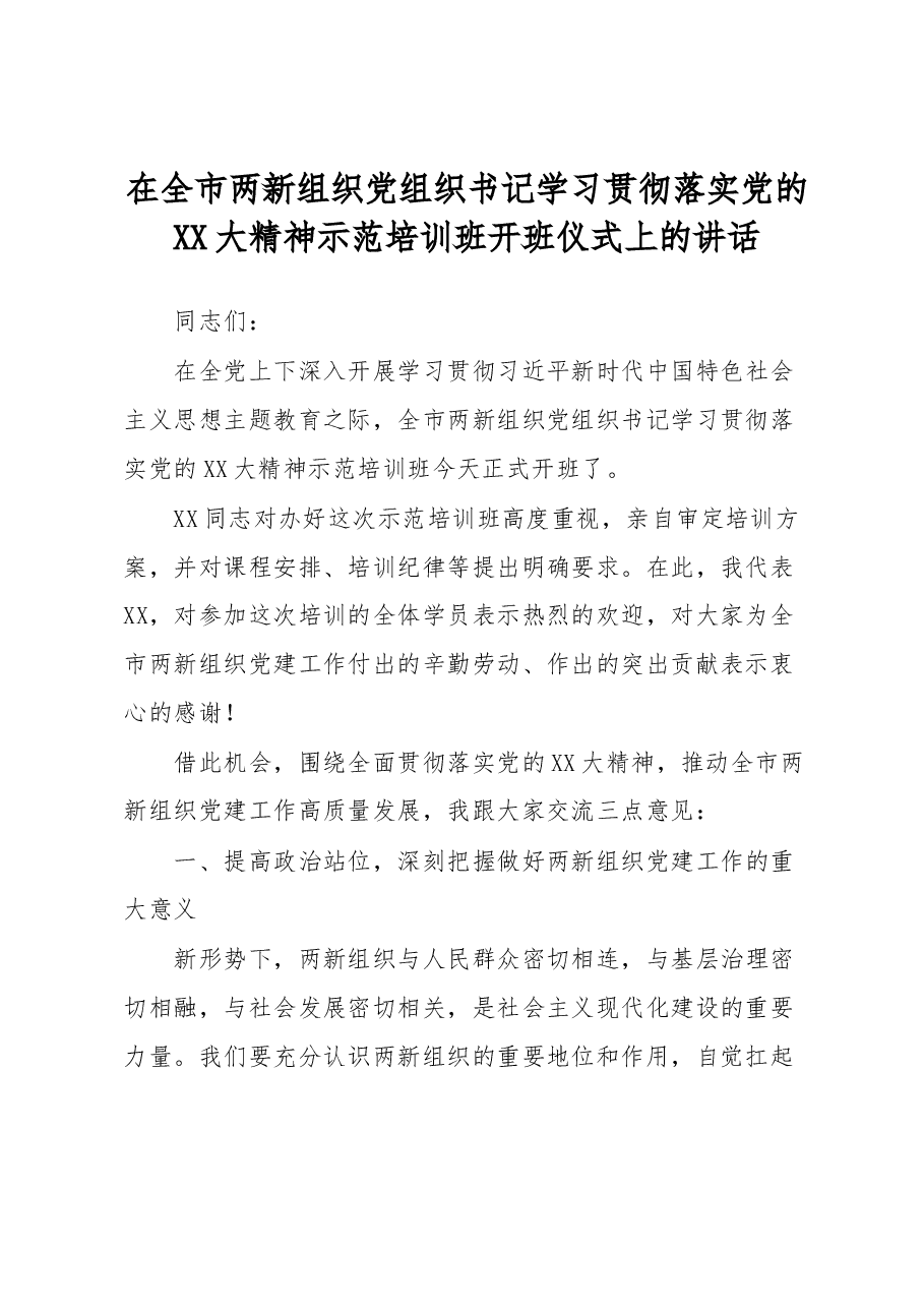 在全市两新组织党组织书记学习贯彻落实党的XX大精神示范培训班开班仪式上的讲话.docx,第1页预览