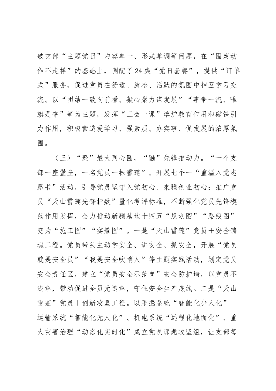 聚担当融发展争当“天山雪莲”先锋共产党员党建品牌经验材料.docx,第3页预览