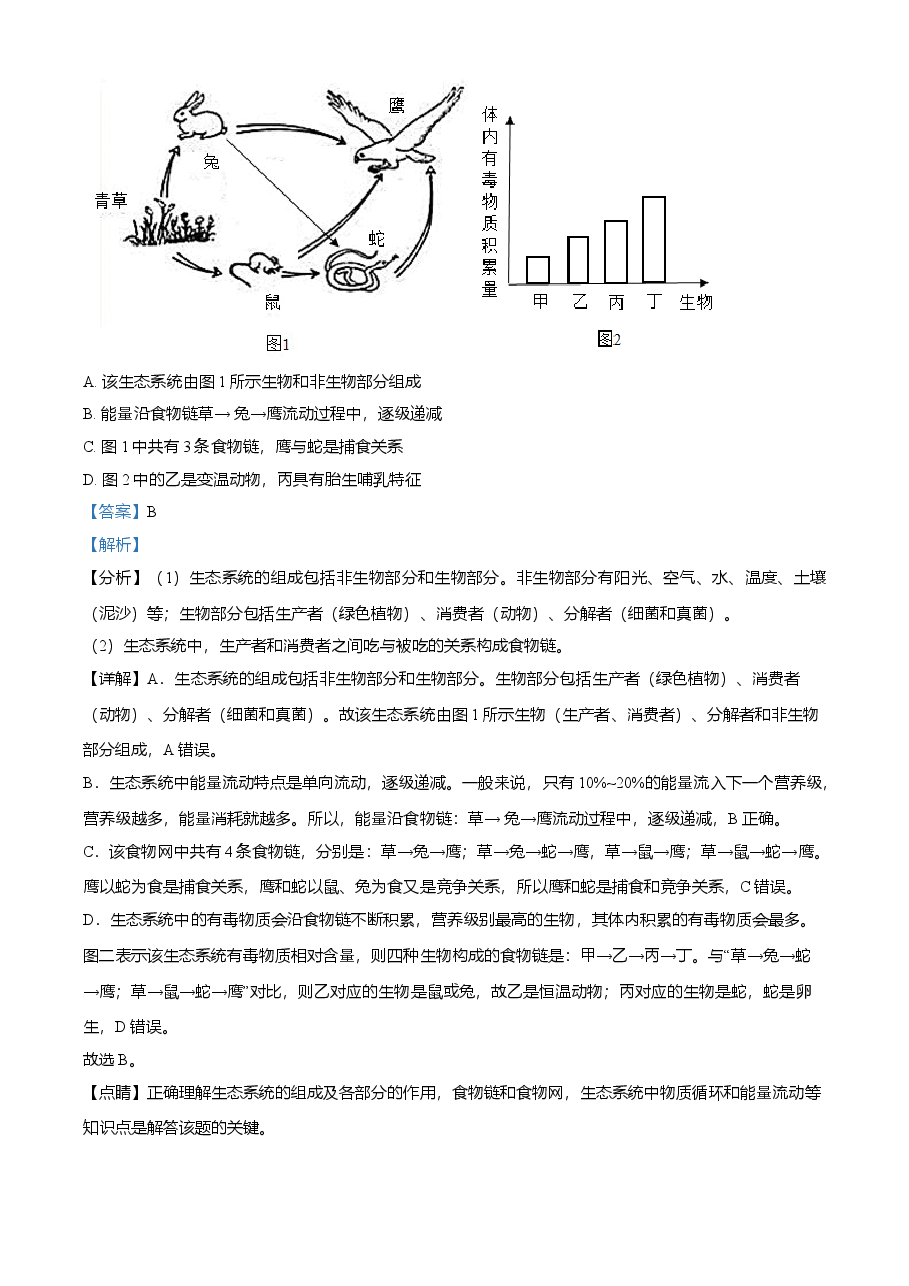 精品解析：山东省泰安市2021年中考生物试题（解析版）.doc，第3页预览