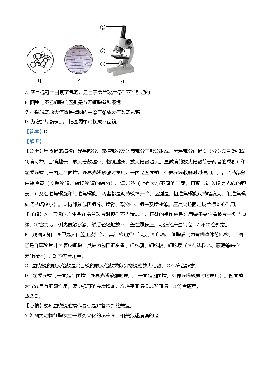 精品解析:湖南省衡阳市2021年中考生物试题(解析版).doc,第3页预览