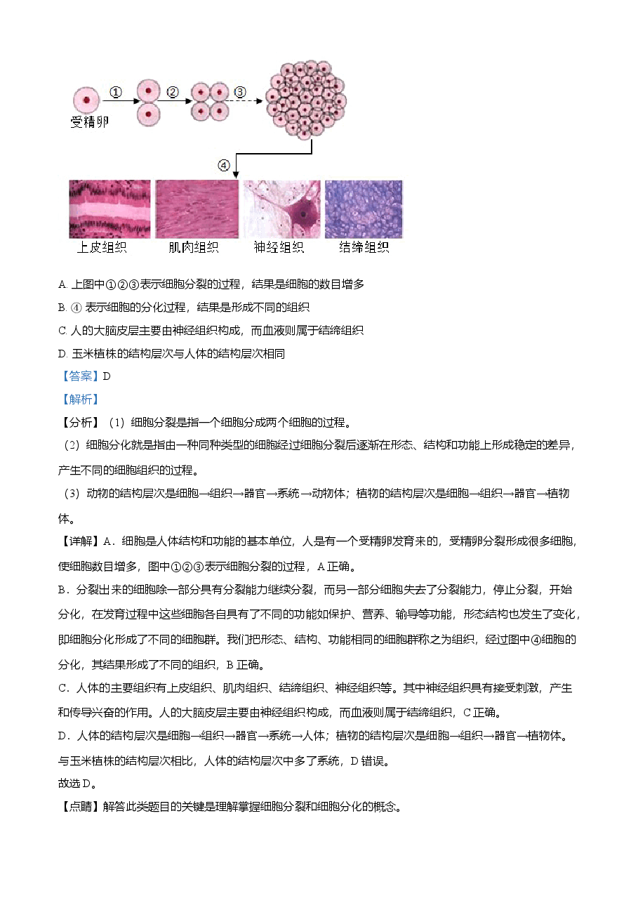 精品解析：湖北省荆门市2021年中考生物试题（解析版）.doc，第2页预览